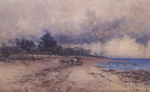 Gathering Seaweed Before the Storm, Sandringham Beach